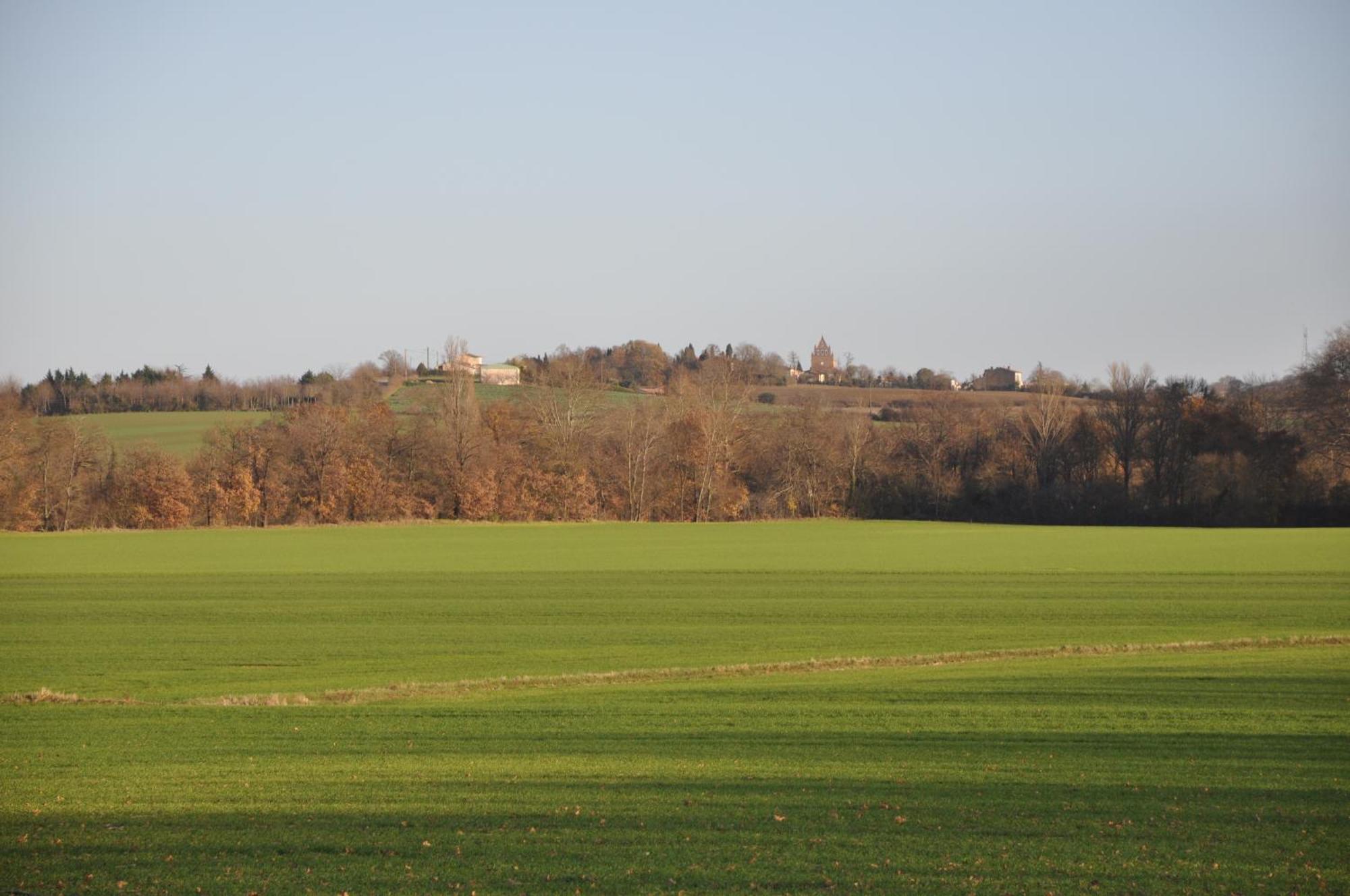 Domaine De Hurlevent Montgaillard-Lauragais Eksteriør bilde