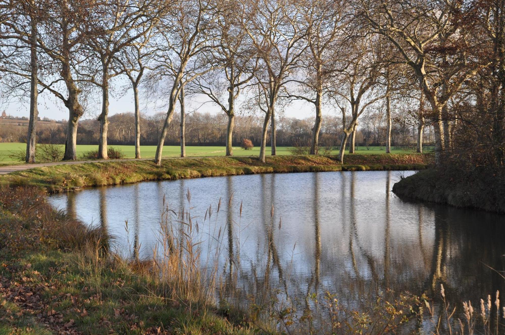 Domaine De Hurlevent Montgaillard-Lauragais Eksteriør bilde